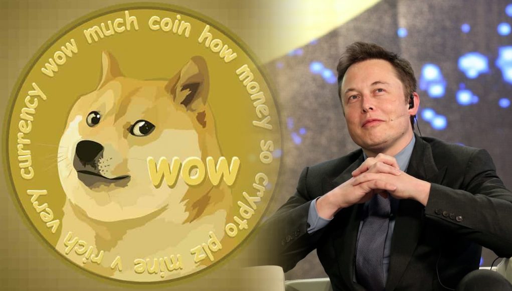 DogeCoin Yol Haritası